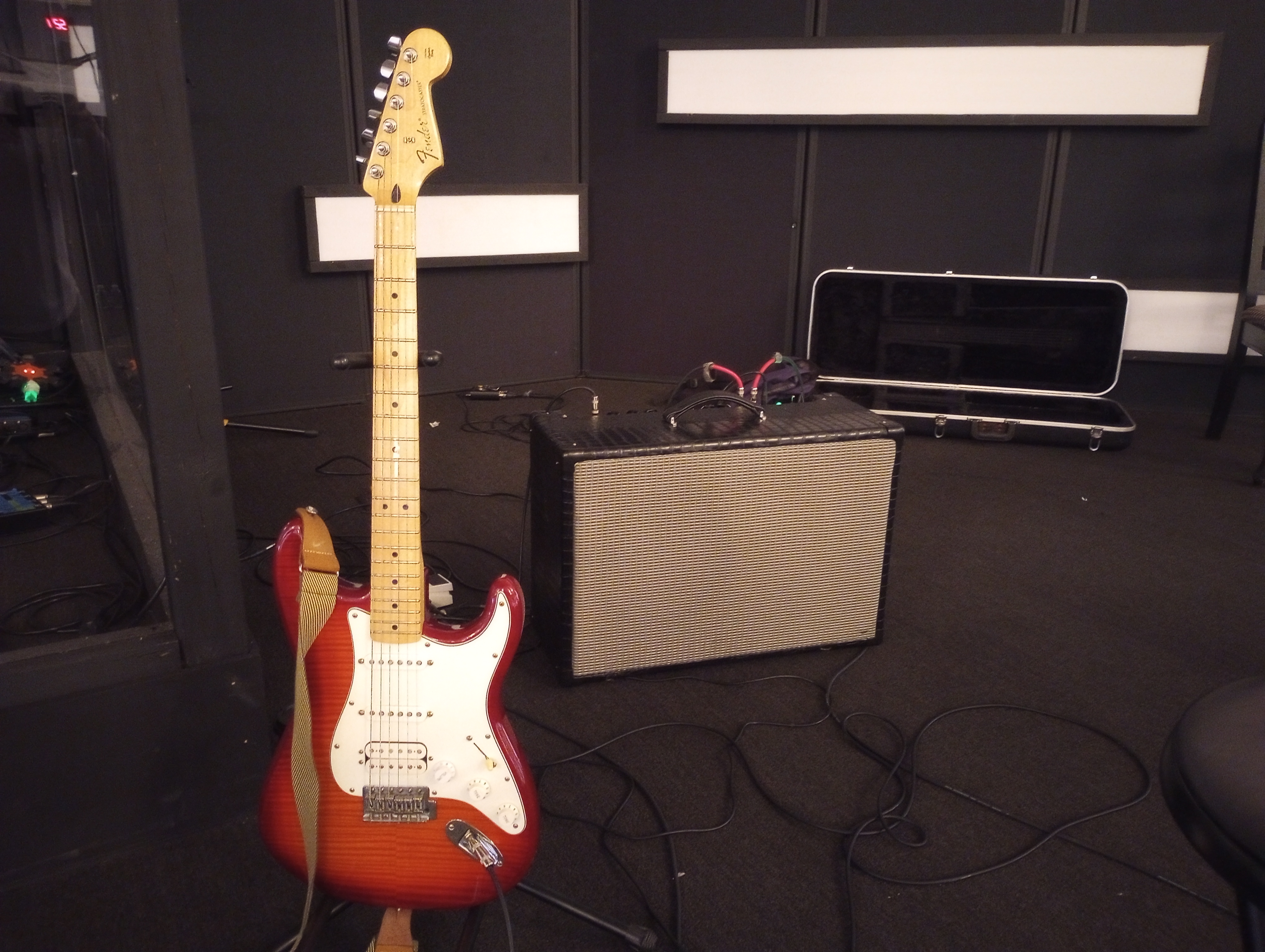 alligator amp with strat